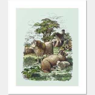 Farm Animals Country Life Illustration Posters and Art